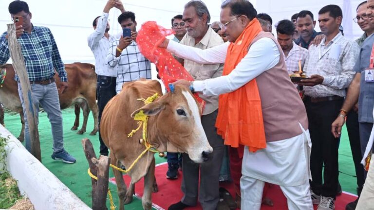 गोधन संरक्षण और गौसेवा को बढ़ावा देने राज्य सरकार प्रतिबद्ध : मुख्यमंत्री  साय