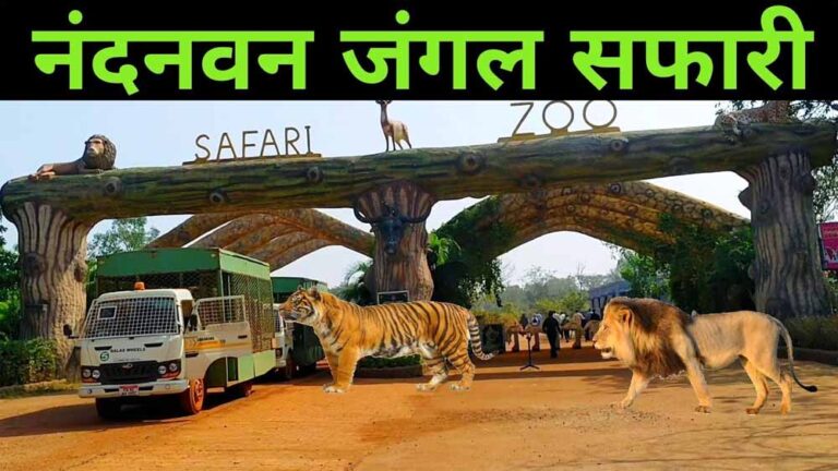 होली की छुट्टियों में सफारी से पहले पढ़ लें यह खबर, 3 मार्च से जंगल में प्रवेश पर रोक होली की छुट्टियों में सफारी से पहले पढ़ लें यह खबर, 3 मार्च से जंगल में प्रवेश पर रोक