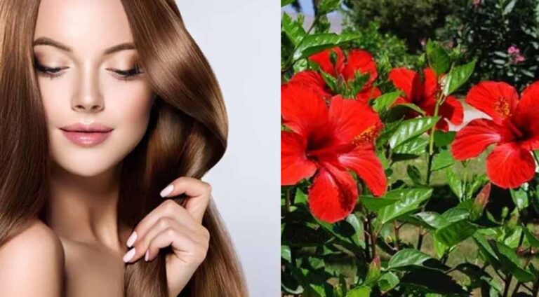 ब्यूटी रूटीन में गुड़हल क्यों है ज़रूरी? जानें स्किन और बालों के बेहतरीन लाभ