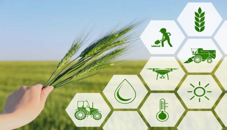 डिजिटल प्लेटफॉर्म से गांव तक हुई पहुंच, खेती में बढ़ रही पेशेवर मार्गदर्शन की भूमिका