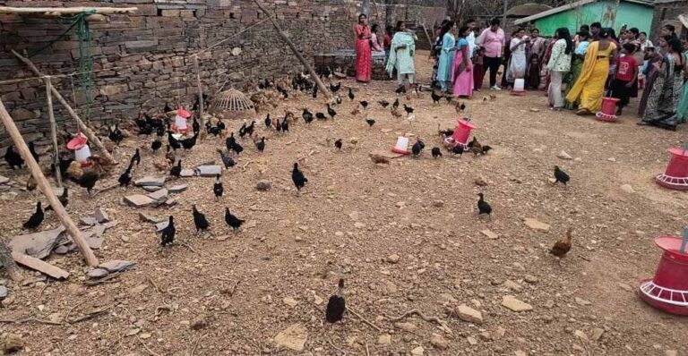 एक्सपोजर विजिट में सीखीं इंटीग्रेटेड फार्मिंग की बारीकियां