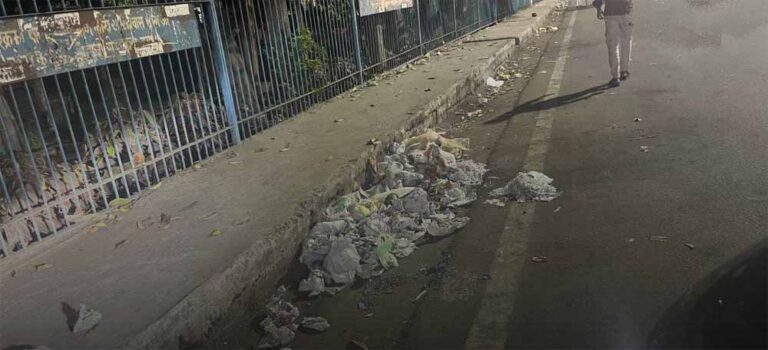 रातभर सफाई के दावे, लेकिन भोपाल के इन बाजारों में फिर भी पसरी गंदगी रातभर सफाई के दावे, लेकिन भोपाल के इन बाजारों में फिर भी पसरी गंदगी