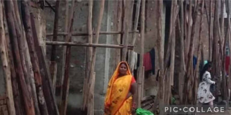 धमतरी में महिला सशक्तिकरण की मिसाल: सेंट्रिंग प्लेट व्यवसाय से बढ़ी आमदनी