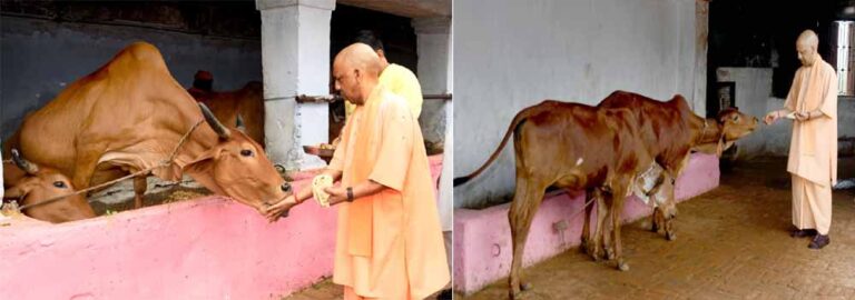 गोमाता को खिलाया गुड़, जन प्रतिनिधियों से भी किया संवाद