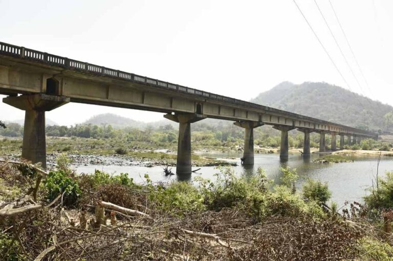 बोधघाट का भविष्य: नक्सल खत्म होते ही जंगल आधारित अर्थव्यवस्था में आ सकता है बड़ा बदलाव