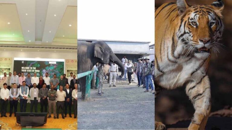 मध्यप्रदेश में वन्यजीव संरक्षण को नई दिशा, पन्ना में हुआ पहला CSR कॉन्क्लेव